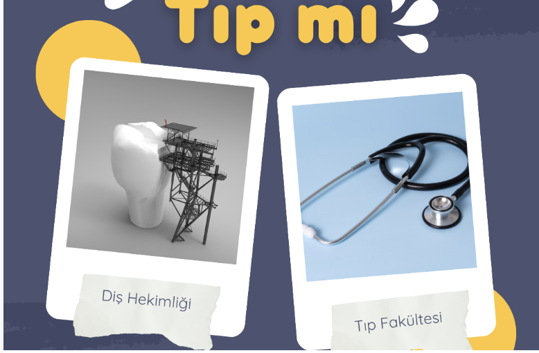 Diş Hekimliği Malzeme Listesi