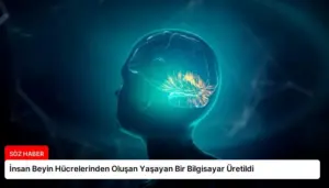 İnsan Beyin Hücrelerinden Oluşan Yaşayan Bir Bilgisayar Üretildi