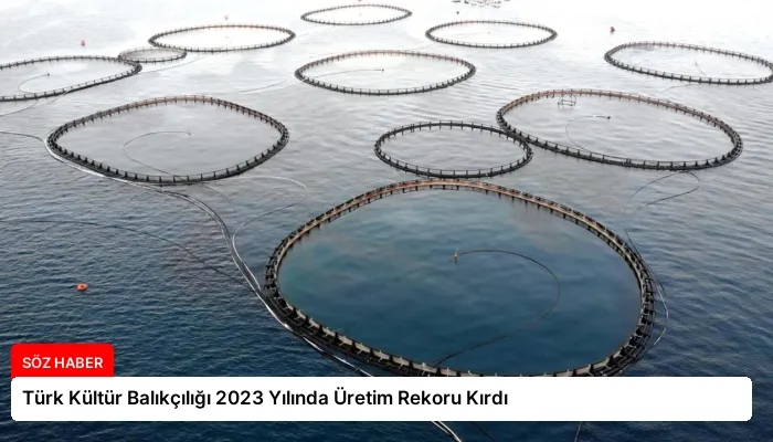 Türk Kültür Balıkçılığı 2023 Yılında Üretim Rekoru Kırdı