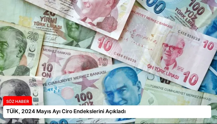 TÜİK, 2024 Mayıs Ayı Ciro Endekslerini Açıkladı