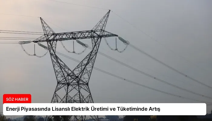 Enerji Piyasasında Lisanslı Elektrik Üretimi ve Tüketiminde Artış