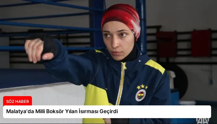 Malatya’da Milli Boksör Yılan İsırması Geçirdi