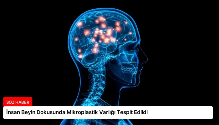 İnsan Beyin Dokusunda Mikroplastik Varlığı Tespit Edildi