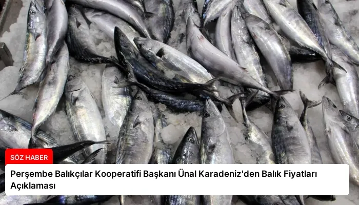 Perşembe Balıkçılar Kooperatifi Başkanı Ünal Karadeniz’den Balık Fiyatları Açıklaması
