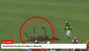 Avustralya’da Mucize Atların Hikayesi