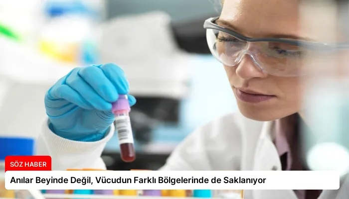 Anılar Beyinde Değil, Vücudun Farklı Bölgelerinde de Saklanıyor