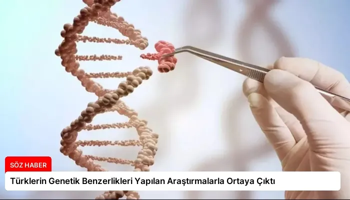 Türklerin Genetik Benzerlikleri Yapılan Araştırmalarla Ortaya Çıktı