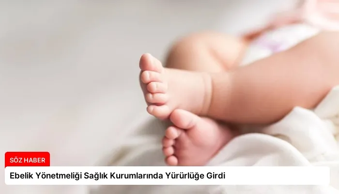 Ebelik Yönetmeliği Sağlık Kurumlarında Yürürlüğe Girdi