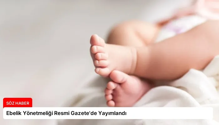 Ebelik Yönetmeliği Resmi Gazete’de Yayımlandı
