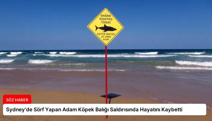 Sydney’de Sörf Yapan Adam Köpek Balığı Saldırısında Hayatını Kaybetti