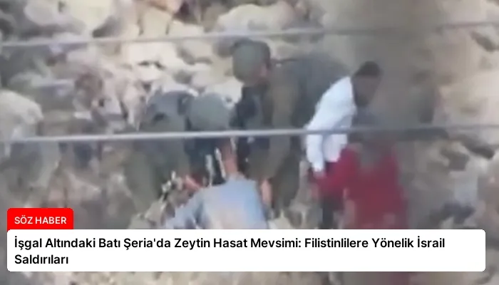 İşgal Altındaki Batı Şeria’da Zeytin Hasat Mevsimi: Filistinlilere Yönelik İsrail Saldırıları