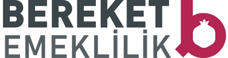 Bereket Emeklilik’ten Satış Süreçlerinde Yenilikçi Adım: BES Sepeti Uygulaması!