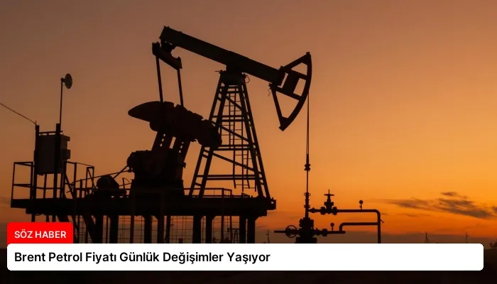 Brent Petrol Fiyatı Günlük Değişimler Yaşıyor