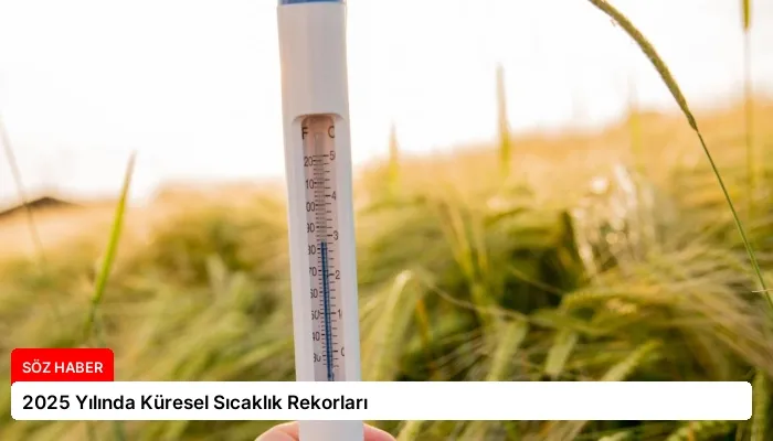 2025 Yılında Küresel Sıcaklık Rekorları