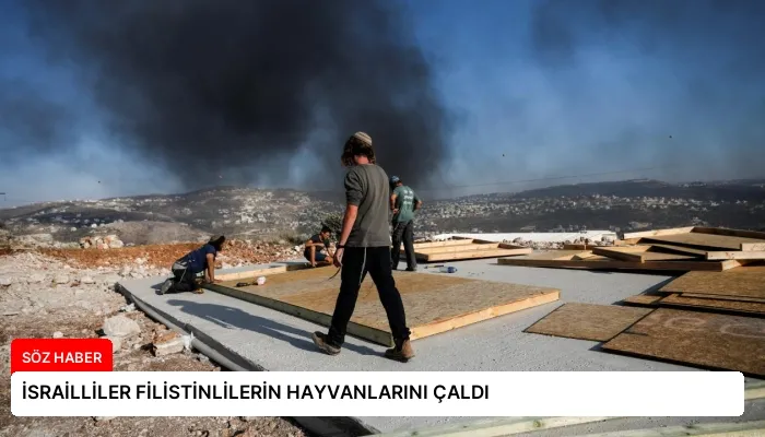 İSRAİLLİLER FİLİSTİNLİLERİN HAYVANLARINI ÇALDI