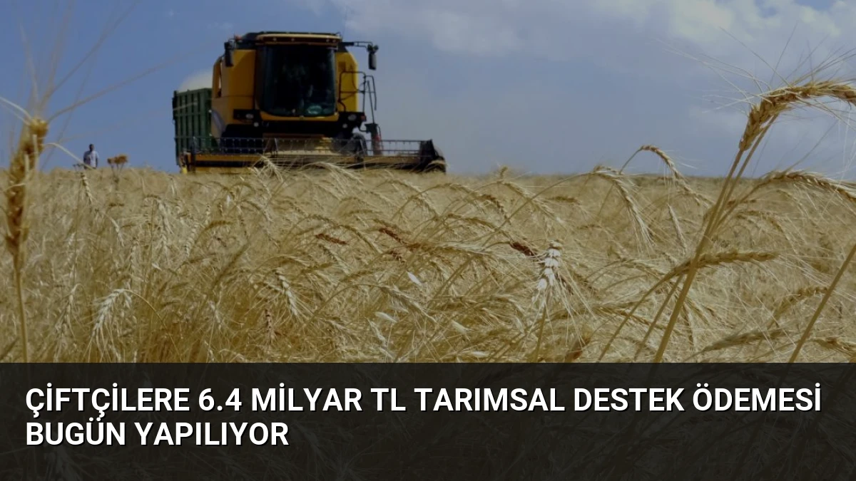 Çiftçilere 6.4 Milyar TL Tarımsal Destek Ödemesi Bugün Yapılıyor