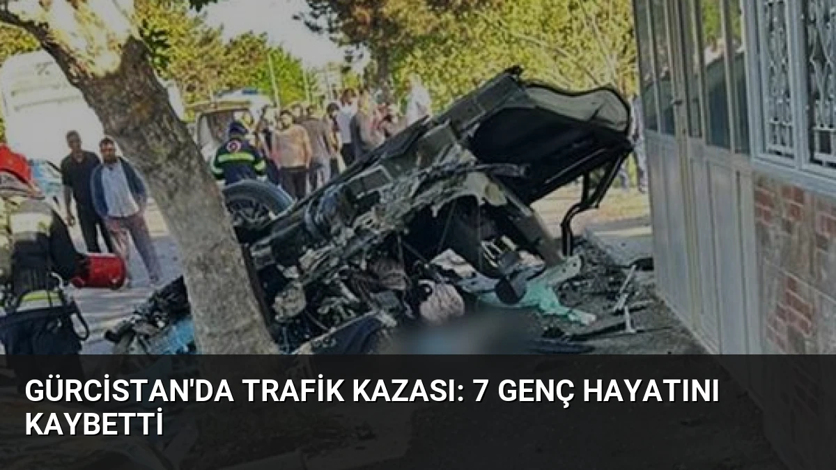 Gürcistan’da Trafik Kazası: 7 Genç Hayatını Kaybetti