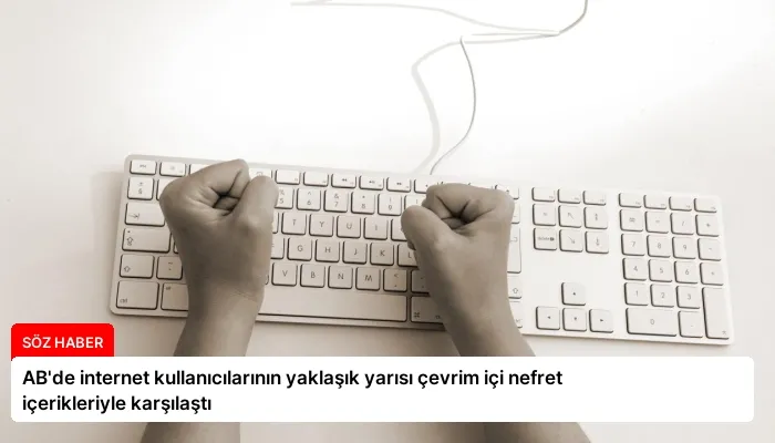 AB’de internet kullanıcılarının yaklaşık yarısı çevrim içi nefret içerikleriyle karşılaştı