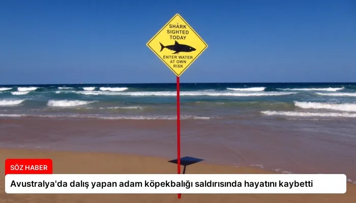 Avustralya’da dalış yapan adam köpekbalığı saldırısında hayatını kaybetti