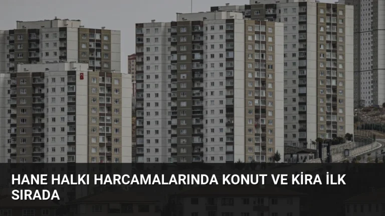 Hane Halkı Harcamalarında Konut ve Kira İlk Sırada