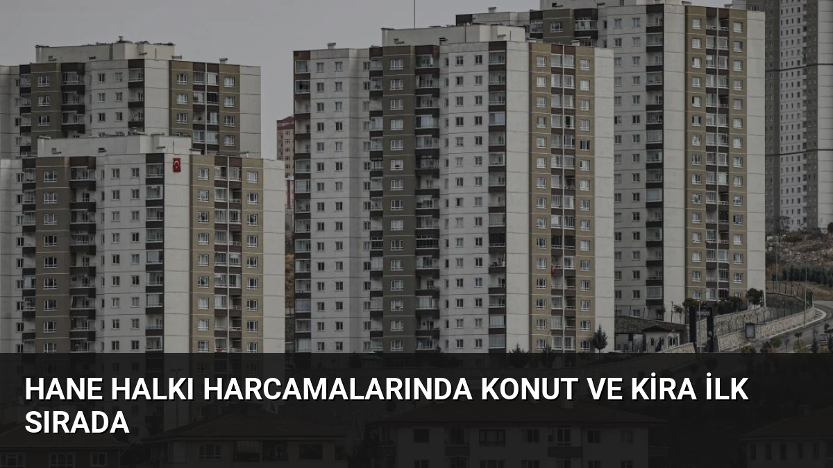 Hane Halkı Harcamalarında Konut ve Kira İlk Sırada