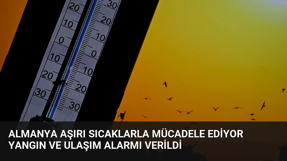 Almanya Aşırı Sıcaklarla Mücadele Ediyor Yangın ve Ulaşım Alarmı Verildi