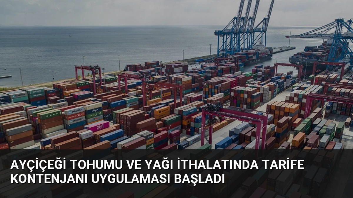 Ayçiçeği Tohumu ve Yağı İthalatında Tarife Kontenjanı Uygulaması Başladı