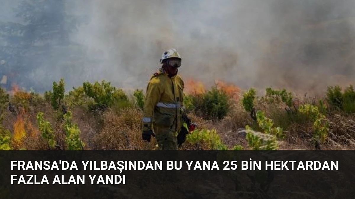 Fransa’da Yılbaşından Bu Yana 25 Bin Hektardan Fazla Alan Yandı