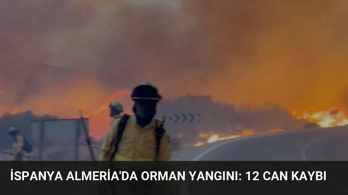 İspanya Almeria’da Orman Yangını: 12 Can Kaybı