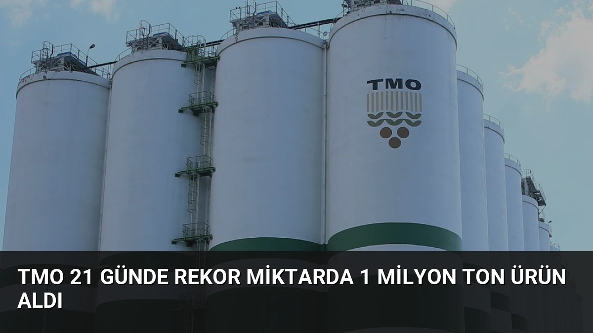 TMO 21 Günde Rekor Miktarda 1 Milyon Ton Ürün Aldı