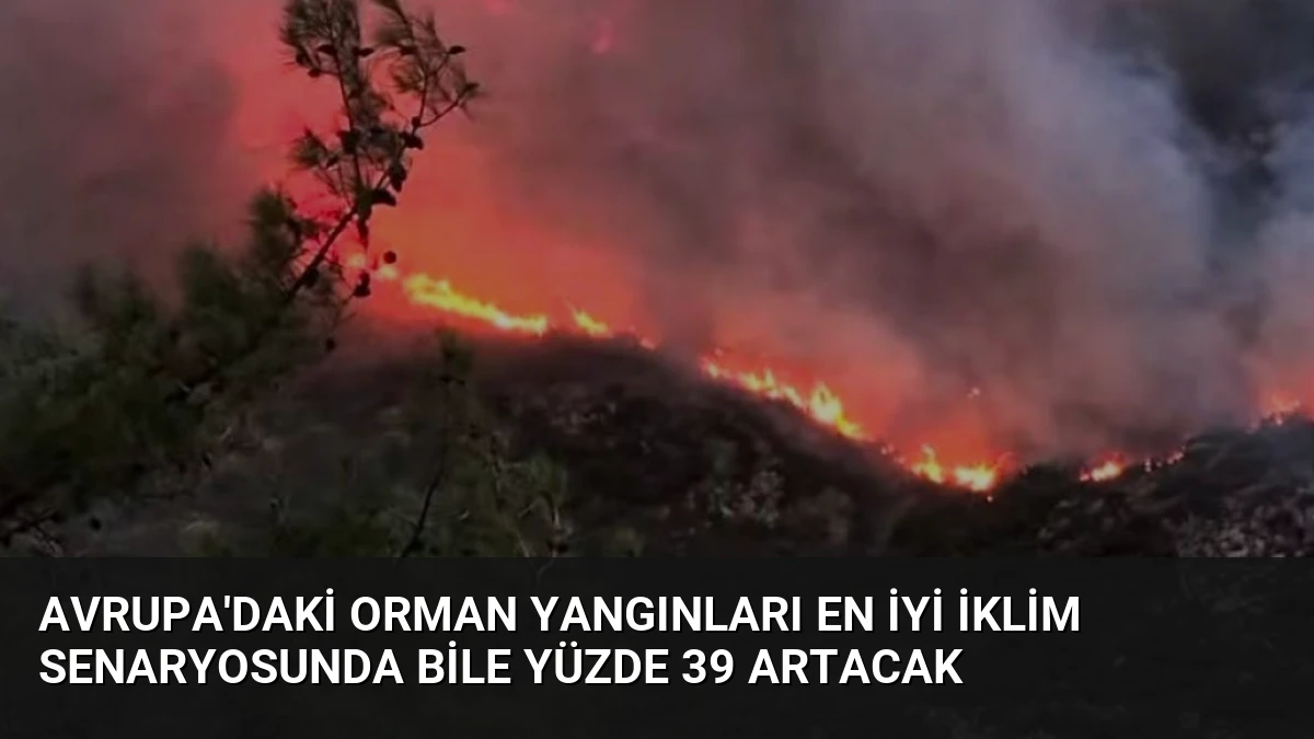 Avrupa’daki orman yangınları en iyi iklim senaryosunda bile yüzde 39 artacak