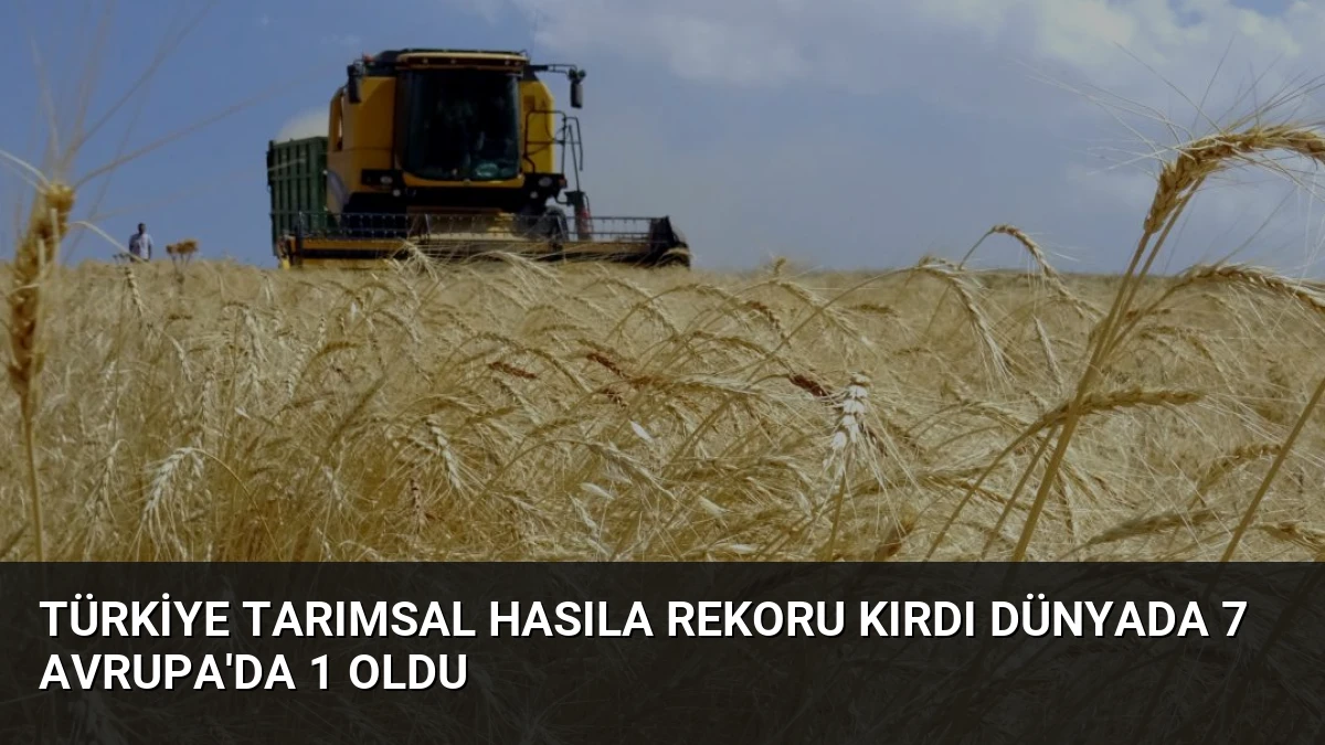 Türkiye Tarımsal Hasıla Rekoru Kırdı Dünyada 7 Avrupa’da 1 Oldu