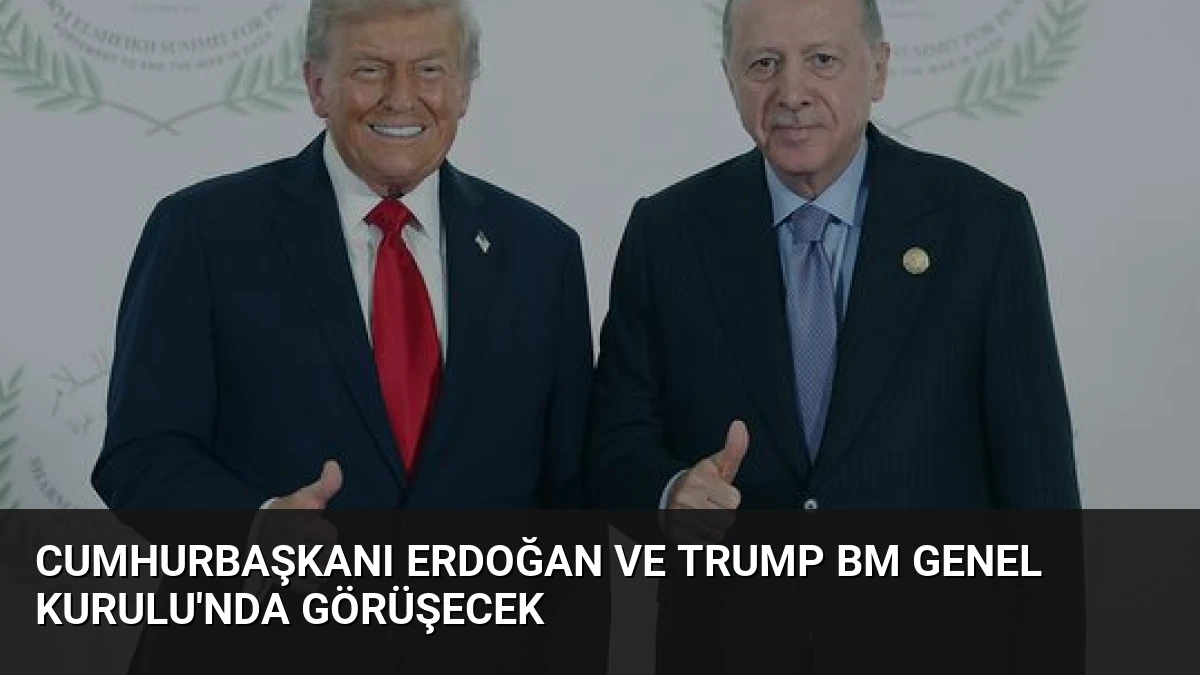 Cumhurbaşkanı Erdoğan ve Trump BM Genel Kurulu’nda Görüşecek