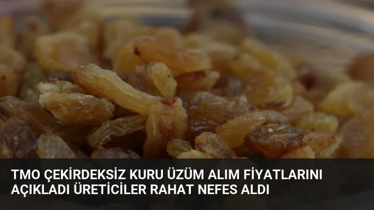 TMO Çekirdeksiz Kuru Üzüm Alım Fiyatlarını Açıkladı Üreticiler Rahat Nefes Aldı