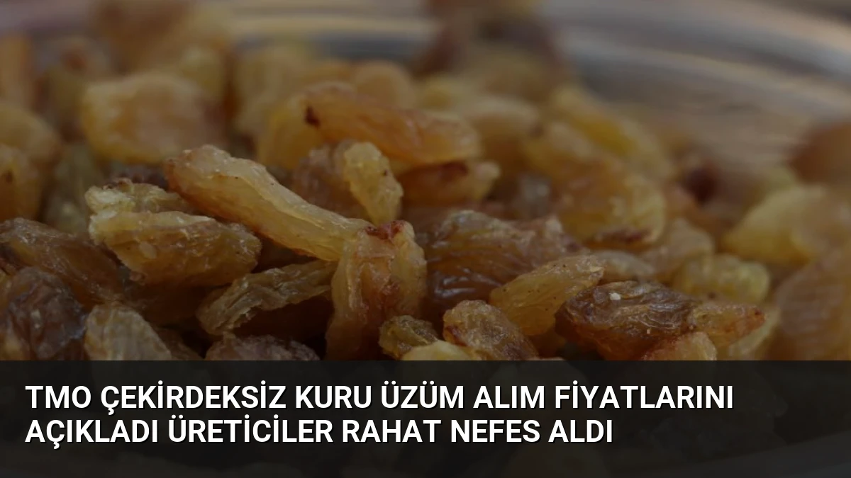 TMO Çekirdeksiz Kuru Üzüm Alım Fiyatlarını Açıkladı Üreticiler Rahat Nefes Aldı