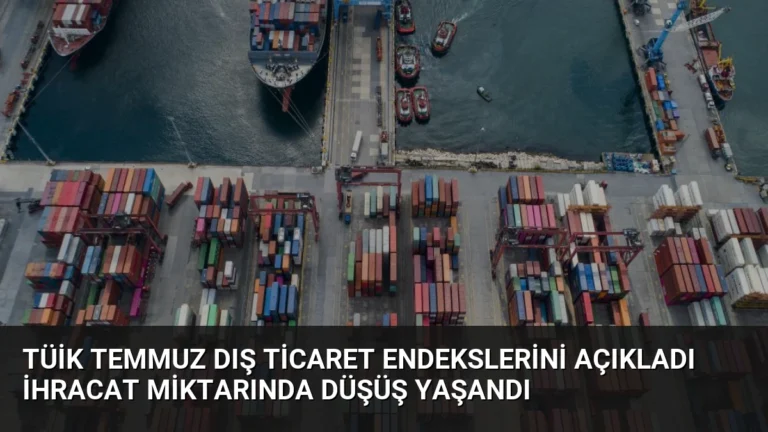 TÜİK Temmuz Dış Ticaret Endekslerini Açıkladı İhracat Miktarında Düşüş Yaşandı