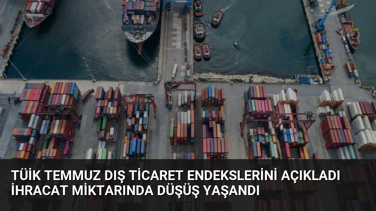 TÜİK Temmuz Dış Ticaret Endekslerini Açıkladı İhracat Miktarında Düşüş Yaşandı