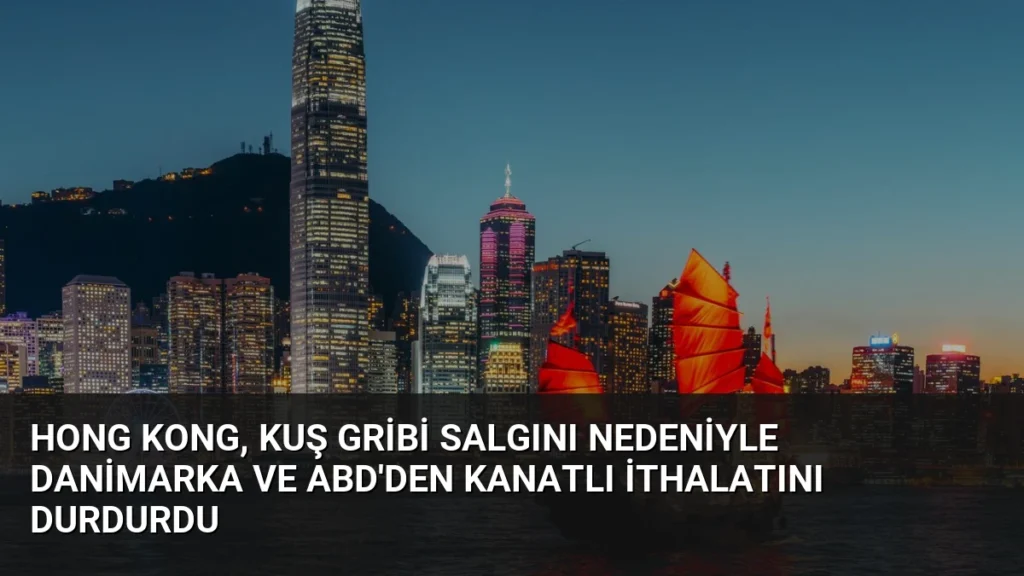 Hong Kong, kuş gribi salgını nedeniyle Danimarka ve ABD’den kanatlı ithalatını durdurdu