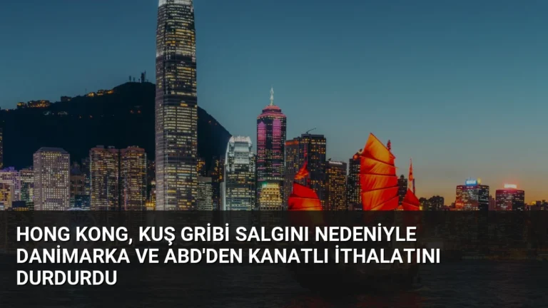 Hong Kong, kuş gribi salgını nedeniyle Danimarka ve ABD’den kanatlı ithalatını durdurdu