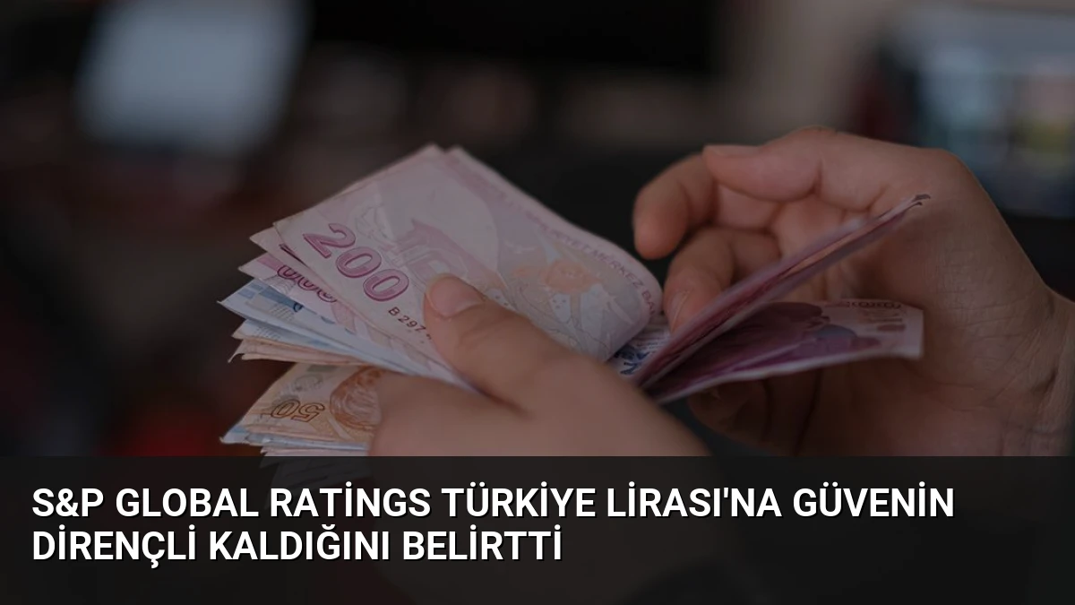 S&P Global Ratings Türkiye Lirası’na Güvenin Dirençli Kaldığını Belirtti